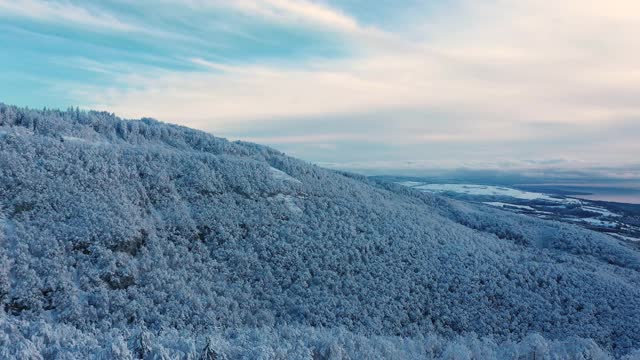 无人机拍摄的白雪覆盖的森林。视频素材