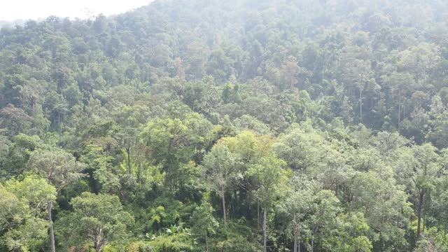 鸟瞰图的山脉与热带雨林视频素材