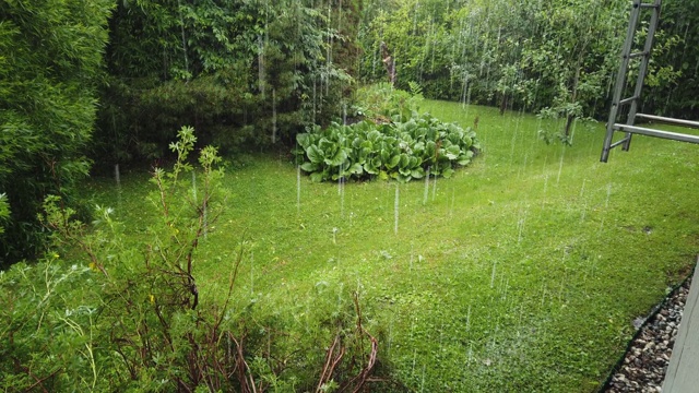 芬兰，雷雨期间下大雨视频素材