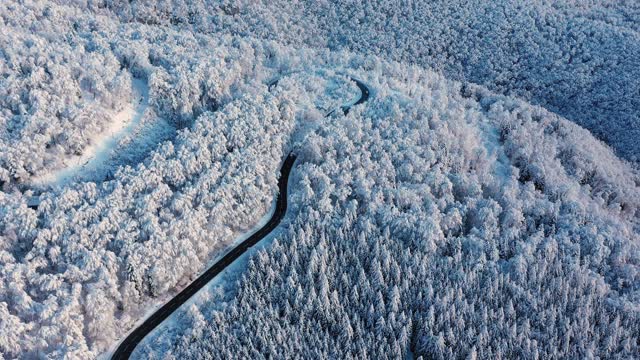 无人机拍摄的白雪覆盖的森林中的一个山口。视频素材