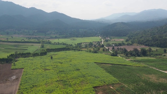 农村鸟瞰图农业地区山区有森林视频素材