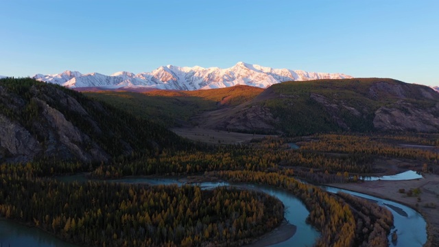 楚雅河曲流、落叶松、高山秋日日出。鸟瞰图。阿尔泰山脉,俄罗斯。无人机飞行前进视频素材