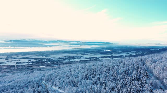 无人机拍摄的白雪覆盖的森林。视频素材