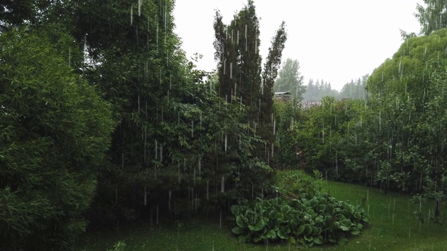 芬兰，雷雨期间下大雨视频素材