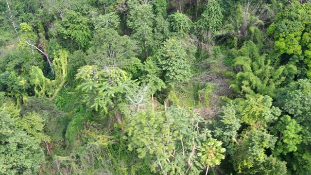 鸟瞰图的山脉与热带雨林视频素材