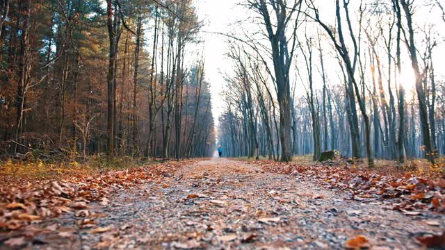 SLO MO女人在一条道路上短跑穿过秋天的森林视频素材