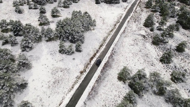 鸟瞰图覆盖的树木在森林和冬天的乡村道路与一辆汽车。高质量4k镜头视频素材