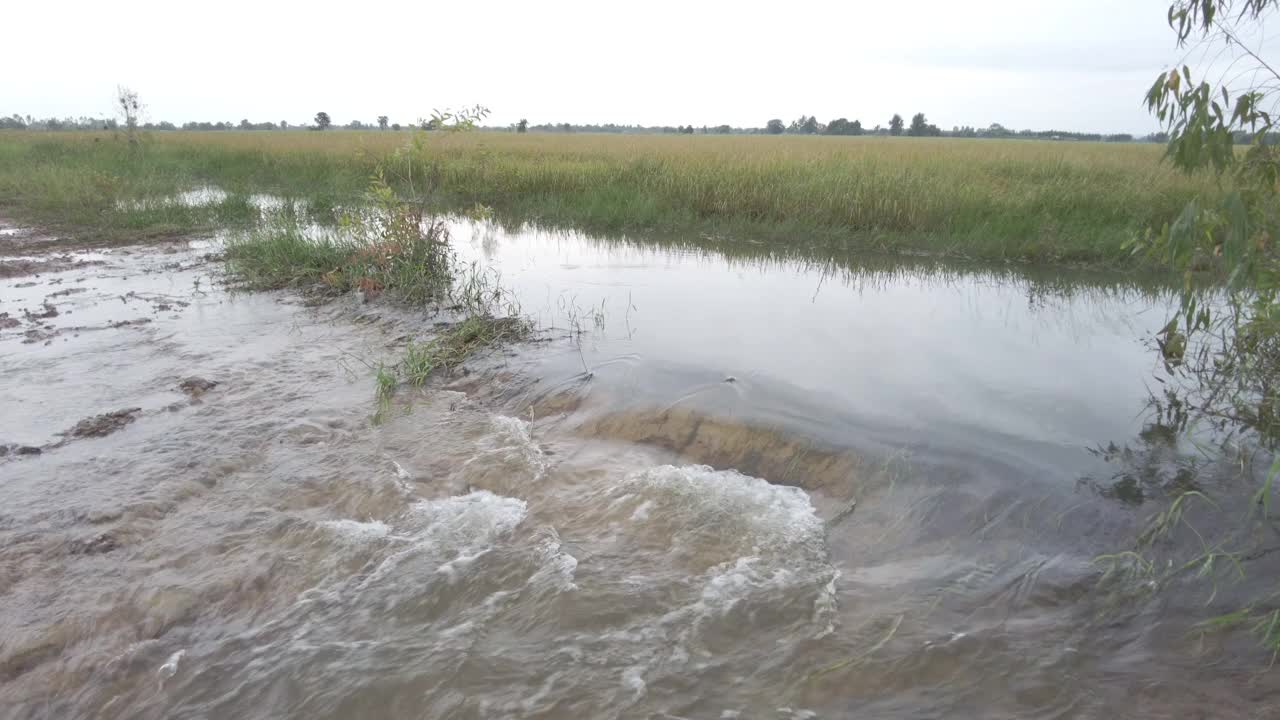 水淹没视频下载