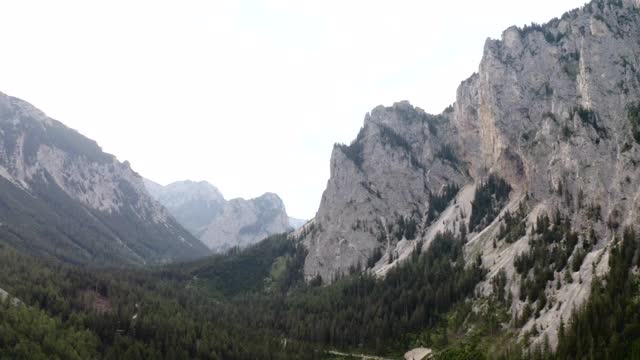 位于奥地利山区的一片森林地带视频素材