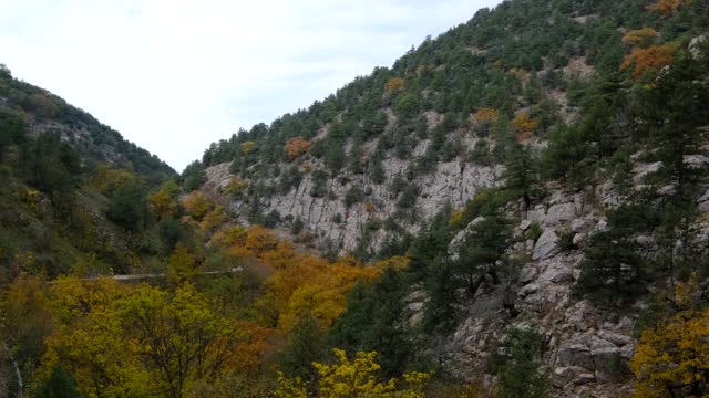 秋山全景。自然美视频素材