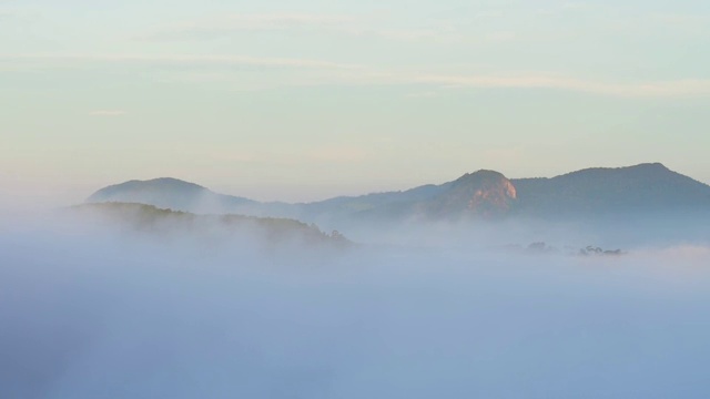 美丽的风景，森林树木与云雾雾视频素材