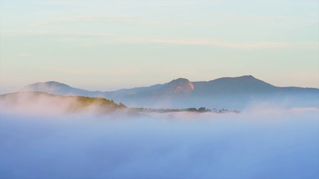 美丽的风景，森林树木与云雾雾视频素材