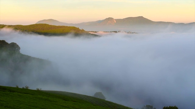 美丽的风景，森林树木与云雾雾视频素材