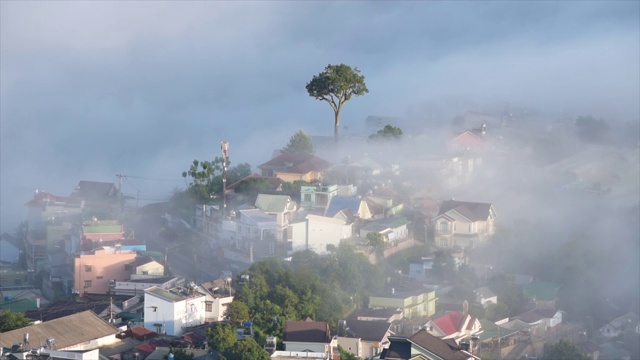 清晨的大latat乡村，薄雾缭绕的住宅，山间的松林在雾中，美妙的风景和浪漫的风景视频素材