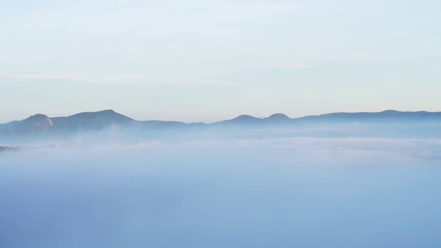 美丽的风景，森林树木与云雾雾视频素材