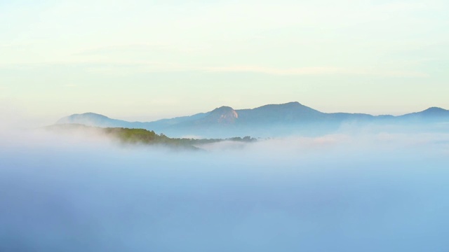 美丽的风景，森林树木与云雾雾视频素材