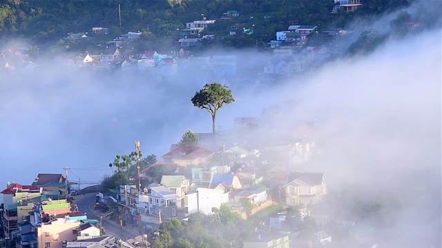 清晨的大latat乡村，薄雾缭绕的住宅，山间的松林在雾中，美妙的风景和浪漫的风景视频素材