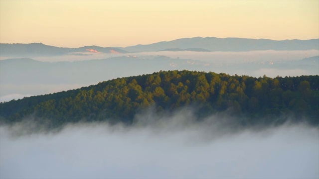 美丽的风景，森林树木与云雾雾视频素材