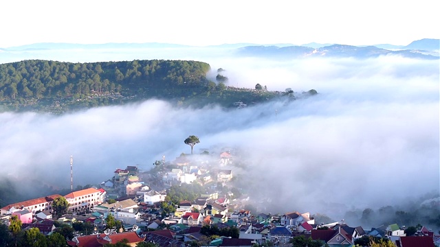 清晨的大latat乡村，薄雾缭绕的住宅，山间的松林在雾中，美妙的风景和浪漫的风景视频素材