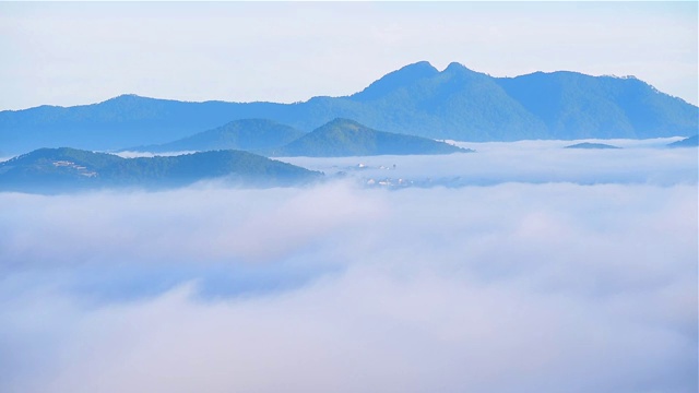 美丽的风景，森林树木与云雾雾视频素材