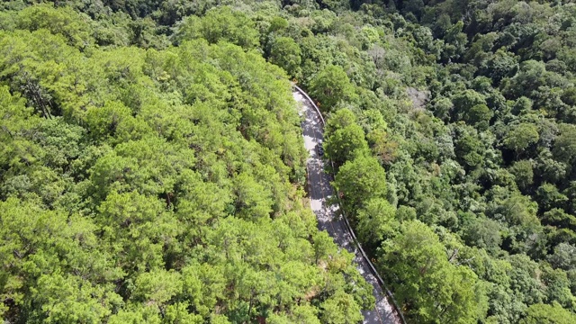 鸟瞰图的一辆汽车沿着山路通过热带森林在农村由无人机视频素材