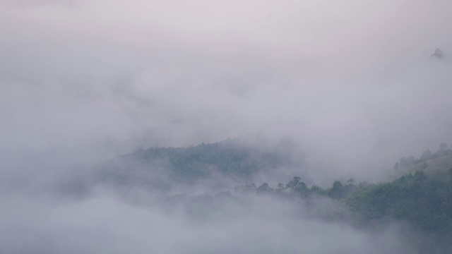 风景雾蒙蒙的绿叶，热带雨林，山脉和丘陵视频素材