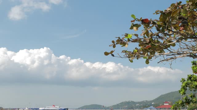 美丽的夏日大海和蓝天从苏梅岛码头，泰国视频素材