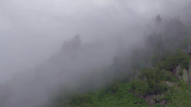 浓雾沿着长满针叶林和岩石的山脉的斜坡蔓延视频素材