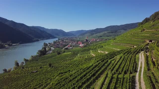 在德瓦肖镇和葡萄园的Weisenkirchen的空中全景图。瓦山谷,奥地利视频素材