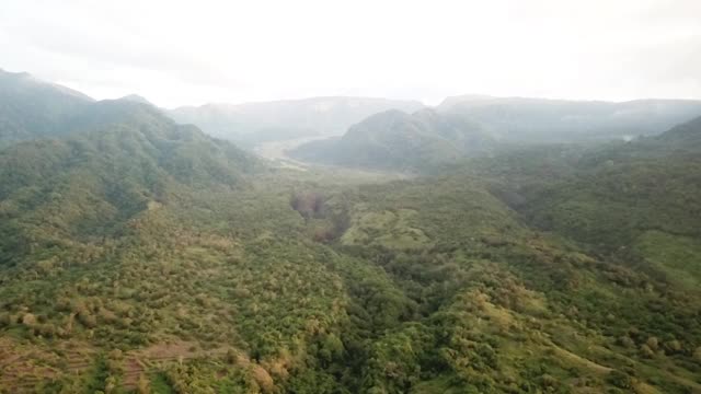 热带森林和高山，坦博拉山，比马，印度尼西亚视频素材