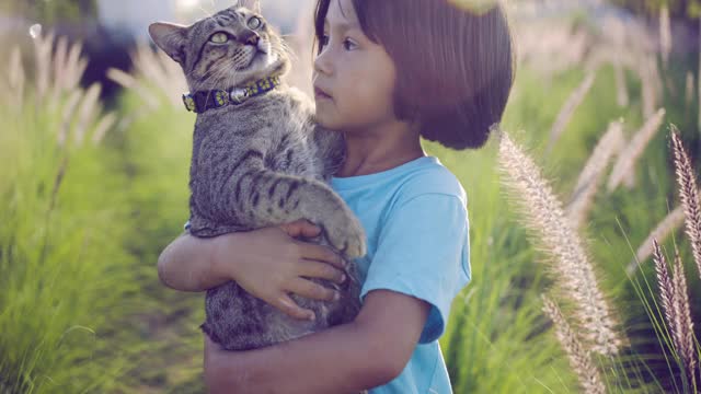 亚洲小女孩在花园里夏天。孩子在户外抱着小猫。视频下载