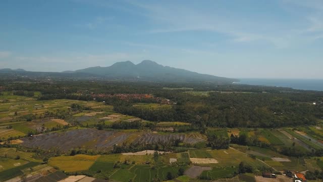 山地景观农田和村庄巴厘岛，印度尼西亚视频素材