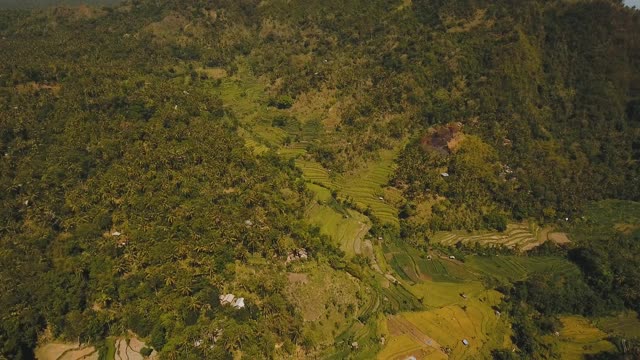 山地景观农田和村庄巴厘岛，印度尼西亚视频素材