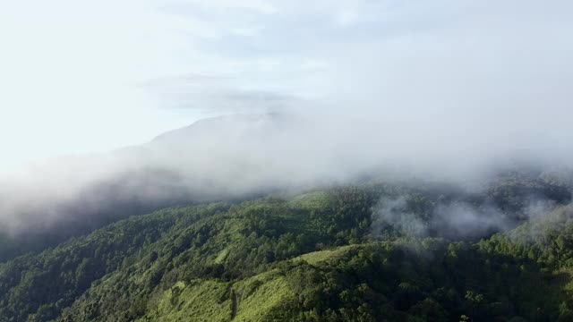 无人机鸟瞰图美丽的自然山脉与森林在早晨阴天。全景绿色森林与风吹雾海的雾通过山峰在泰国清迈视频素材