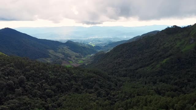 无人机鸟瞰图美丽的自然山脉与森林在早晨阴天。全景绿色森林与风吹雾海的雾通过山峰在泰国清迈视频素材