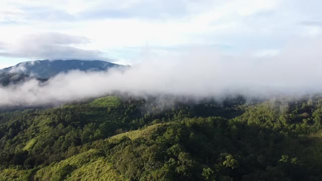 无人机鸟瞰图美丽的自然山脉与森林在早晨阴天。全景绿色森林与风吹雾海的雾通过山峰在泰国清迈视频素材