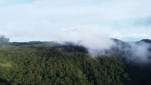 无人机鸟瞰图美丽的自然山脉与森林在早晨阴天。全景绿色森林与风吹雾海的雾通过山峰在泰国清迈视频素材