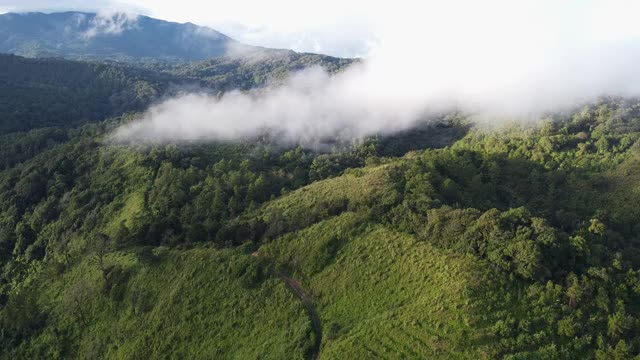 无人机鸟瞰图美丽的自然山脉与森林在早晨阴天。全景绿色森林与风吹雾海的雾通过山峰在泰国清迈视频素材