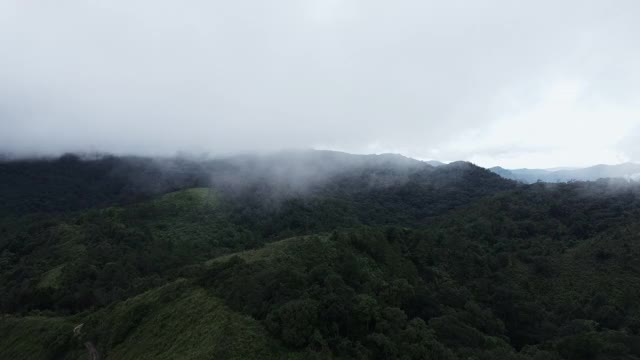 无人机鸟瞰图美丽的自然山脉与森林在早晨阴天。全景绿色森林与风吹雾海的雾通过山峰在泰国清迈视频素材