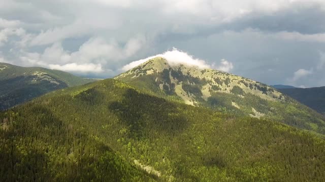 在多云的夏季天气，高山覆盖着绿色云杉森林的鸟瞰图。视频素材