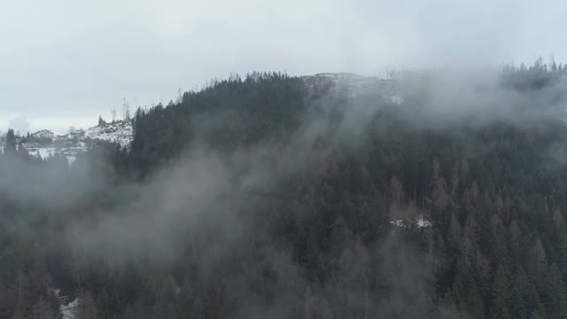 通过意大利白云岩的薄雾，空中下降到常青的山地森林视频素材