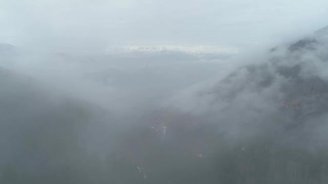 雾山航空揭示常绿高山森林在前景与雪山的山峰在背景视频素材