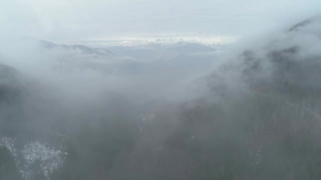 在薄雾中飞行，以雪山为背景展示高山森林视频素材