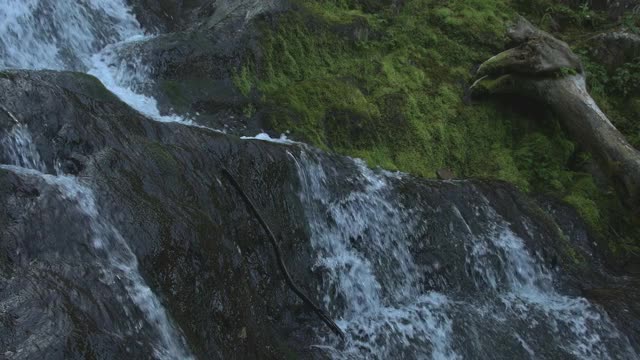 山瀑布与水晶水。溪水流过长满苔藓的巨石和浮木视频素材