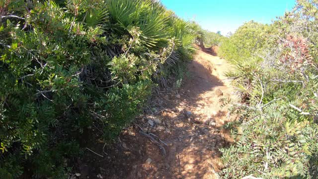 走在阿尔盖罗海岸线的一条土路上。意大利撒丁岛视频下载