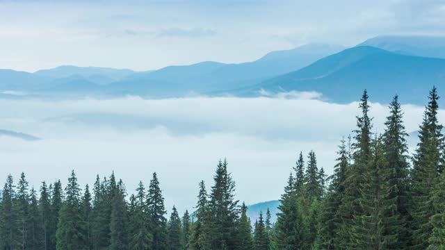 雨时，白云在山间秋山森林中缓缓移动。宁静的景色常绿松林在山上在雾。风景优美、美丽神秘。4 k。视频素材