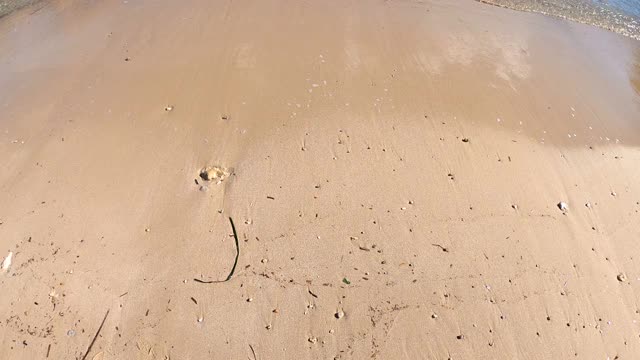 阿尔盖罗海岸的一个小海湾的全景。意大利撒丁岛视频下载