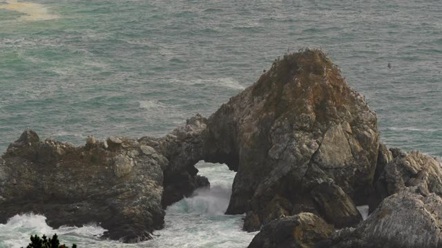 在太平洋的海弓和海鸟的远摄，中央大苏尔海岸，蒙特利县，加利福尼亚州，4K视频视频素材