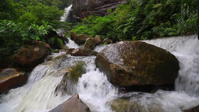 台风过后，仙鹤落在冲绳名护市视频素材