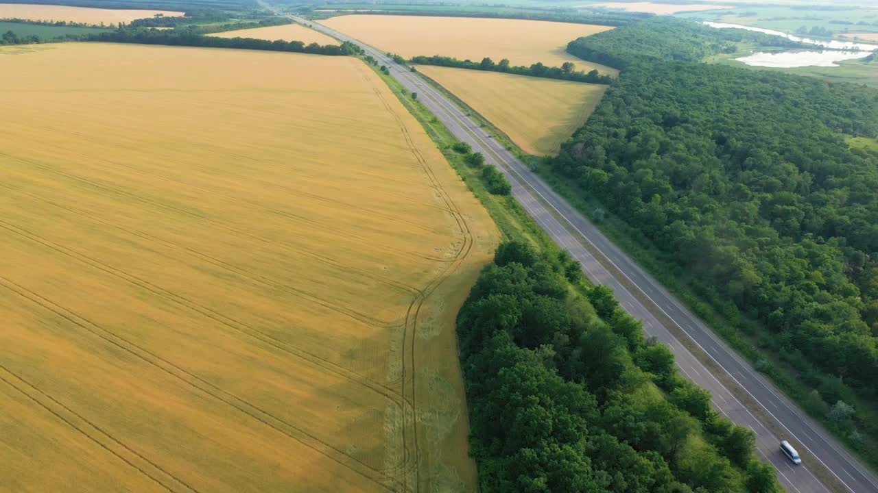 初夏的绿色田野和穿过的道路鸟瞰图视频素材